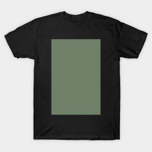 sage green T-Shirt